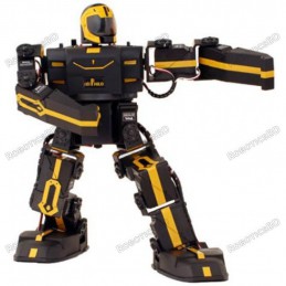 RoboBrothers RoboPhilo Humanoid Robot Ready to Walk