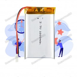 Lithium Ion Battery - 1000 mAh 3.